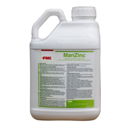 Manzinc.jpg
